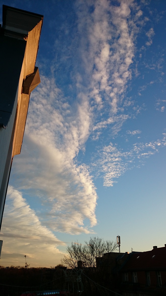 Fotografie © Karin Jansen