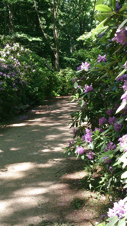 © staph Blog, Herbst 2015